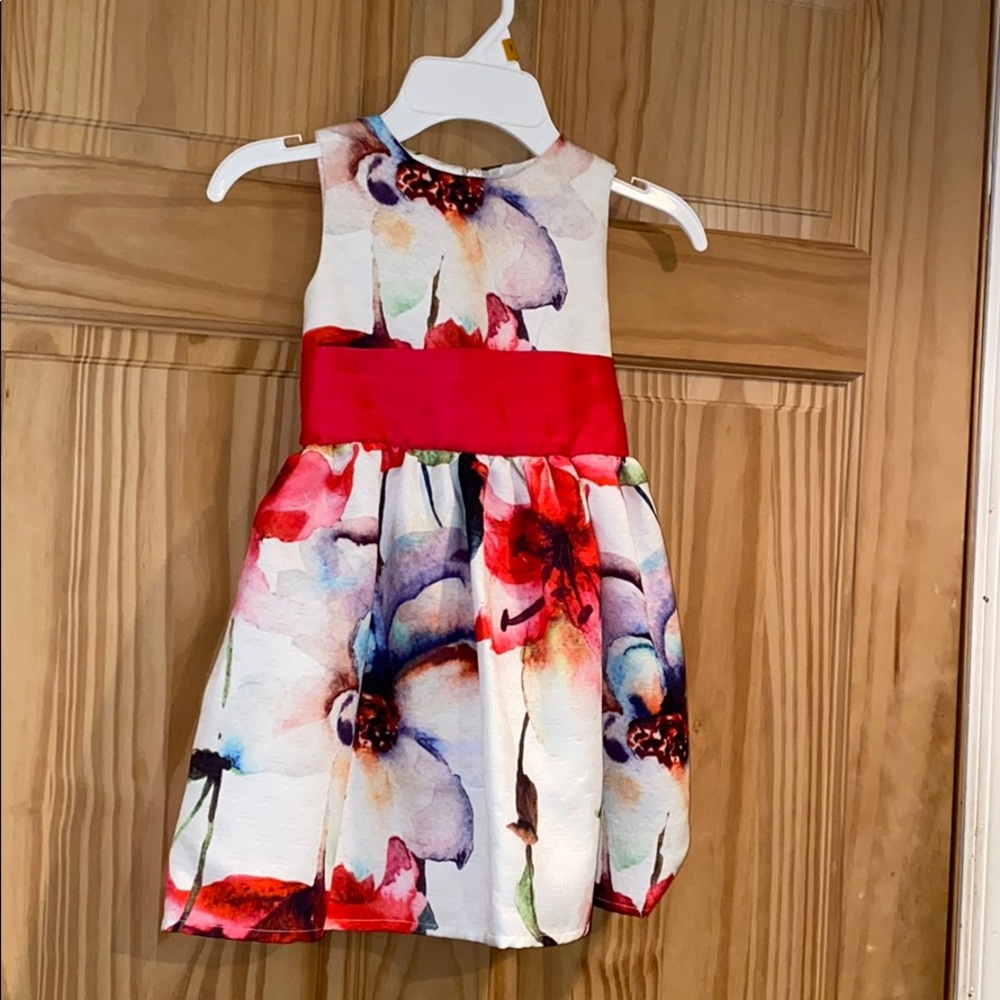Girls beautiful dress